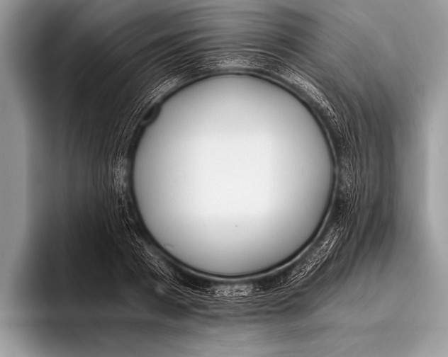 X0000096200793200802081539