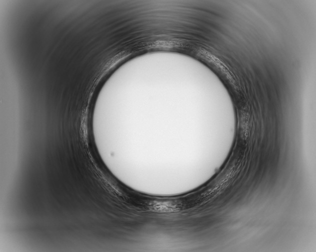 X0000096200794200802081539