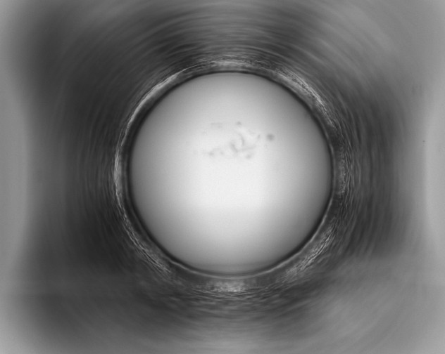 X0000096200798200802081539