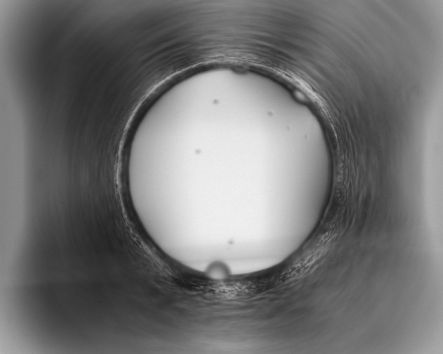 X0000096200799200802081539