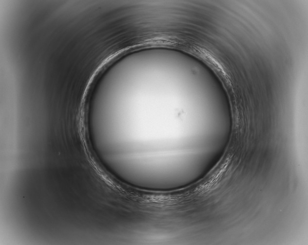 X0000096200800200802081539