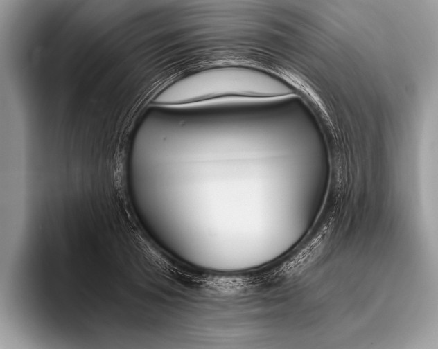 X0000096200801200802081539