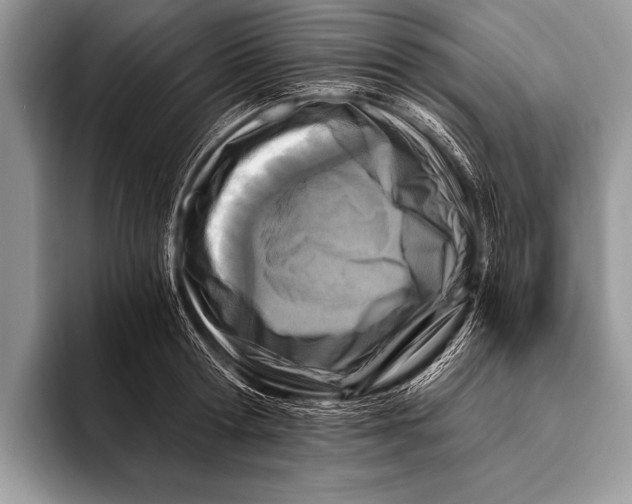 X0000096200802200802081539