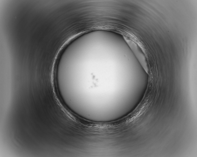 X0000096200803200802081539