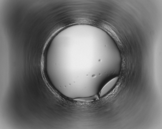 X0000096200804200802081539