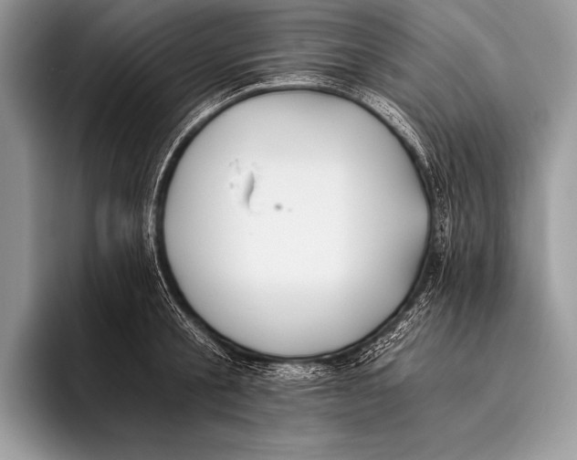 X0000096200805200802081539