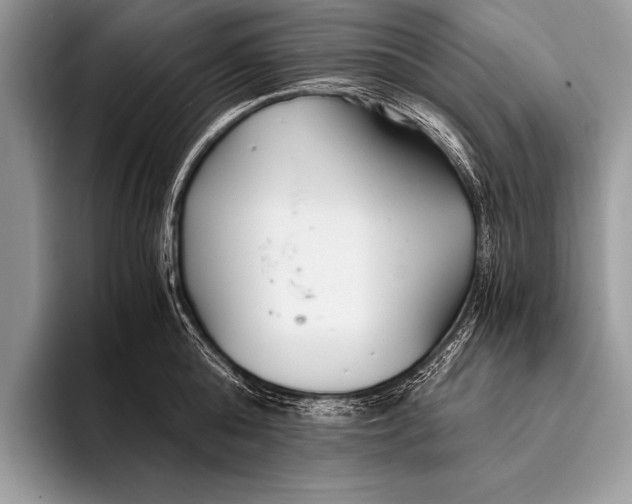 X0000096200808200802081539