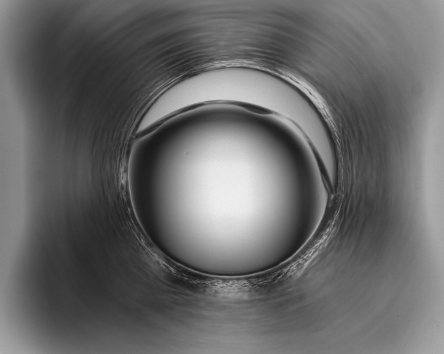 X0000096200809200802081539