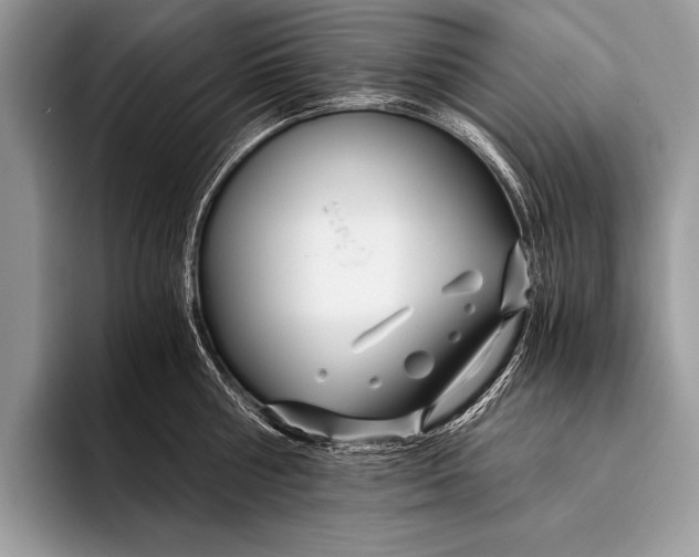 X0000096200810200802081539