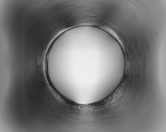 X0000096200811200802081539