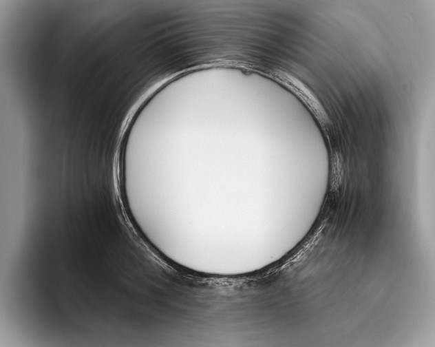 X0000096200812200802081539