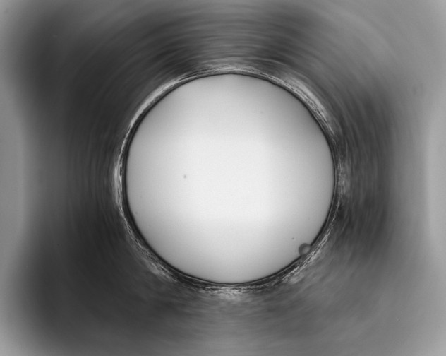 X0000096200814200802081539