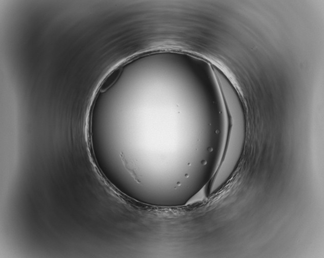 X0000096200815200802081539