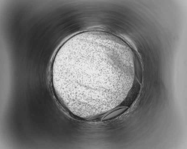 X0000096200816200802081539