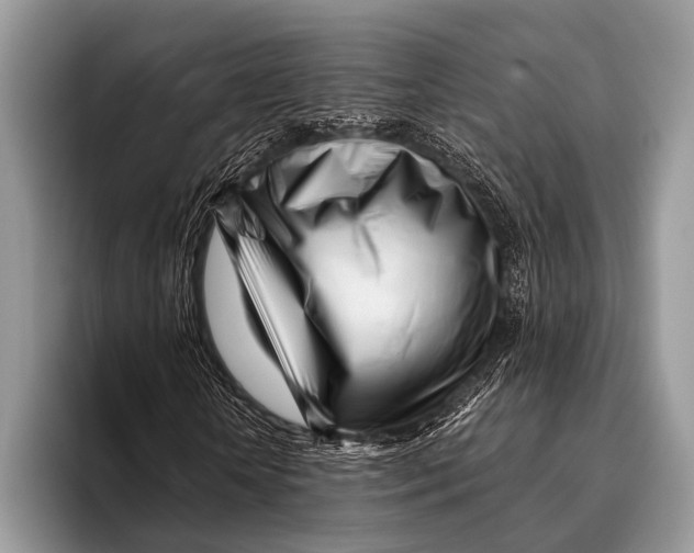 X0000096200818200802081538