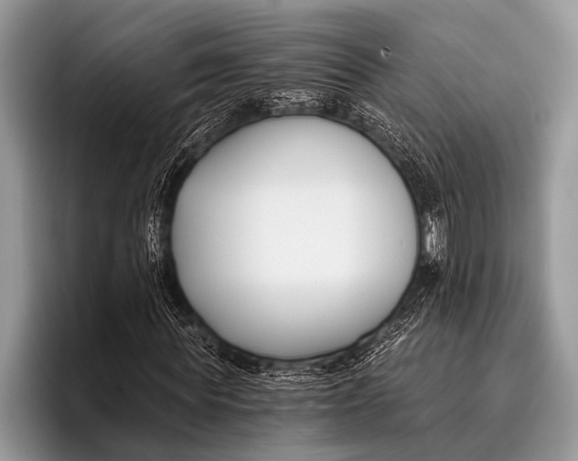 X0000096200819200802081538