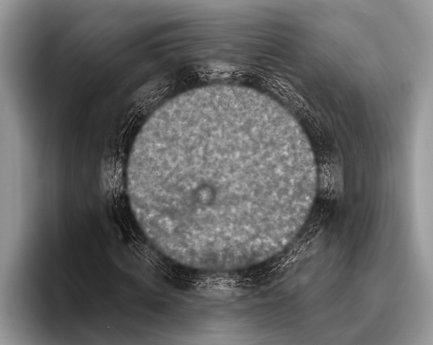 X0000096200820200802081538