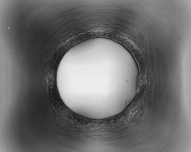 X0000096200821200802081538