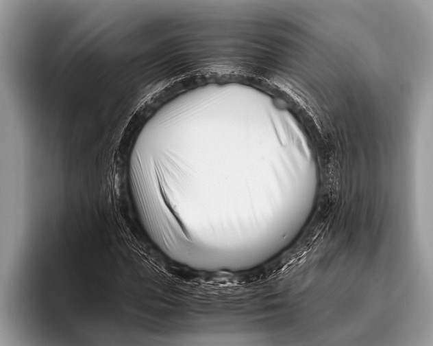 X0000096200823200802081538