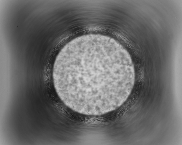 X0000096200824200802081538