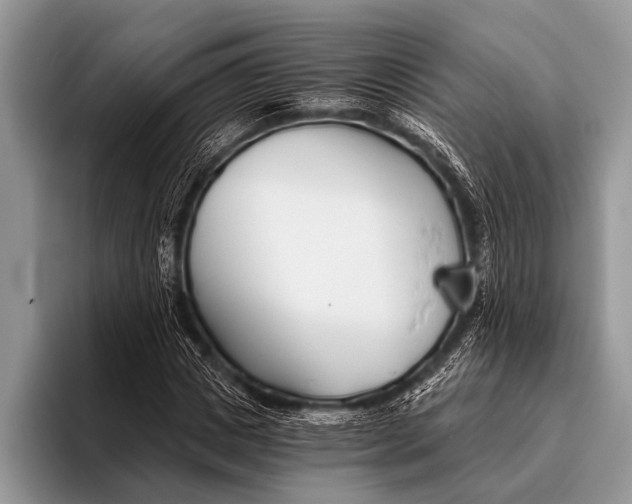 X0000096200825200802081538