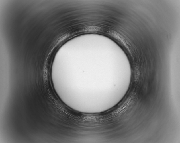 X0000096200827200802081538