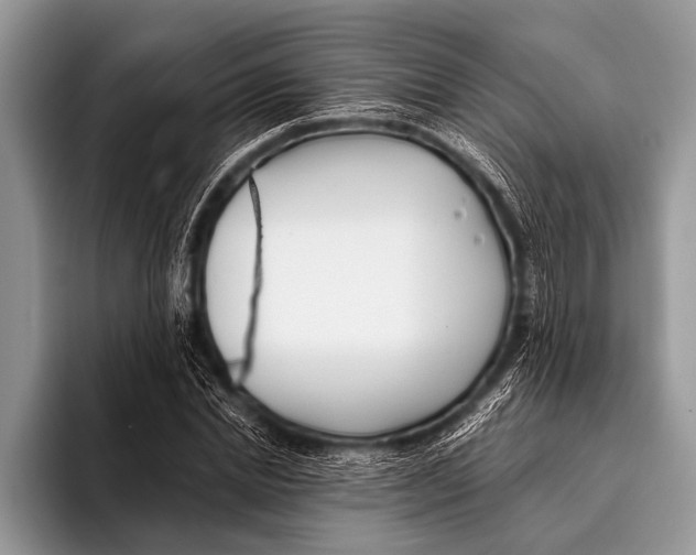 X0000096200830200802081538