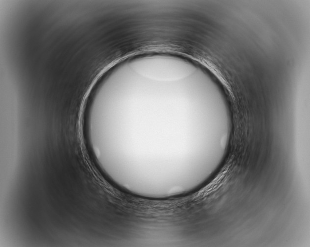 X0000096200832200802081538