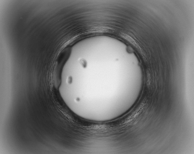 X0000096200834200802081538