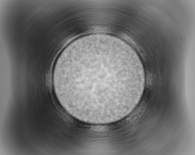 X0000096200836200802081538