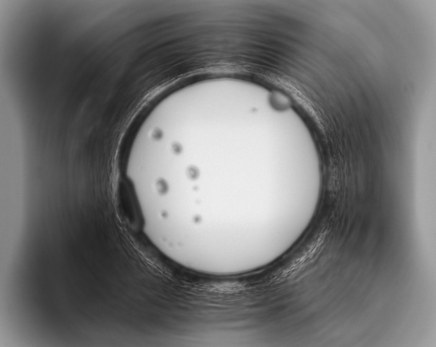 X0000096200837200802081538