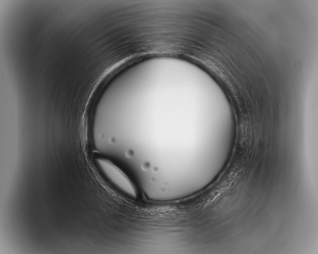 X0000096200838200802081538