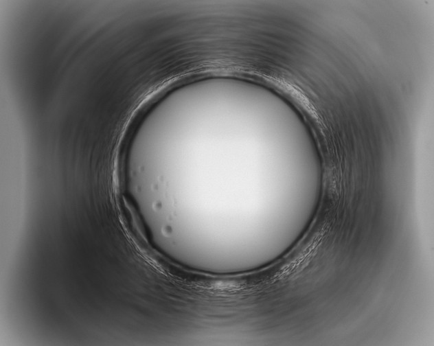 X0000096200839200802081538