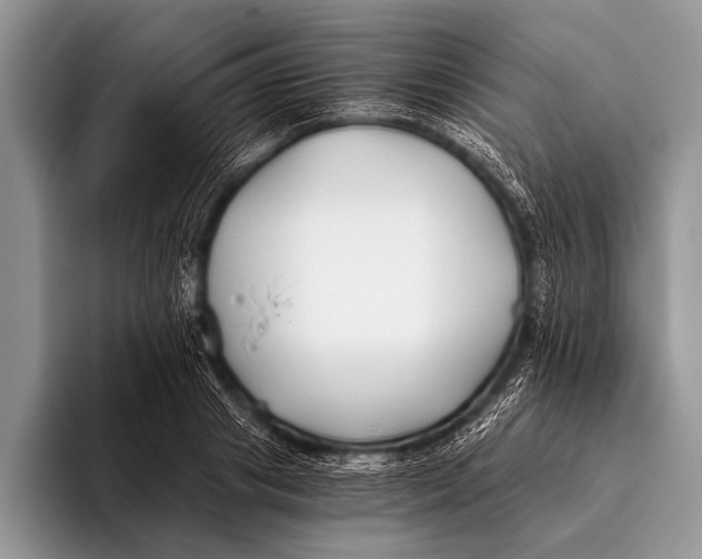 X0000096200841200802081538