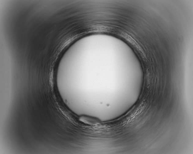 X0000096200842200802081538