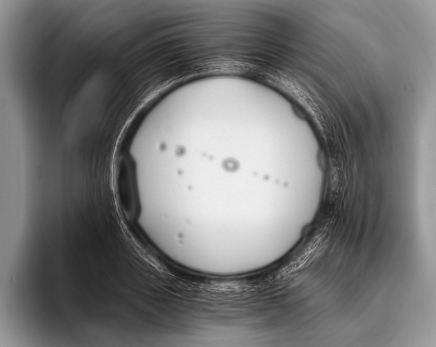 X0000096200843200802081538