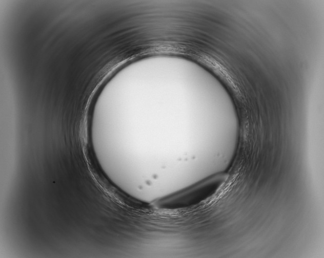 X0000096200844200802081538