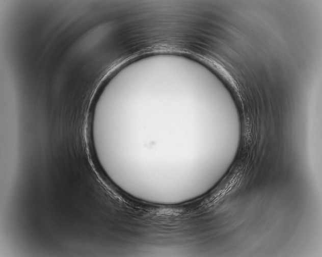 X0000096200847200802081538