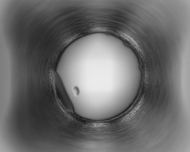 X0000096200849200802081539