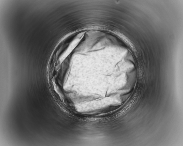 X0000096200854200802081539