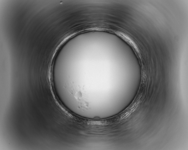 X0000096200855200802081539