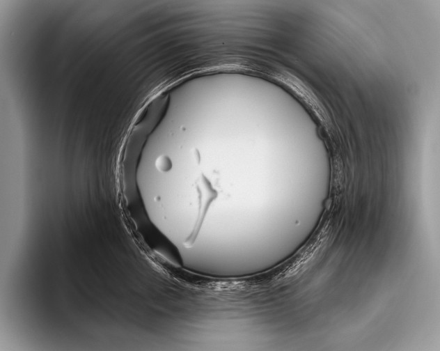 X0000096200858200802081539