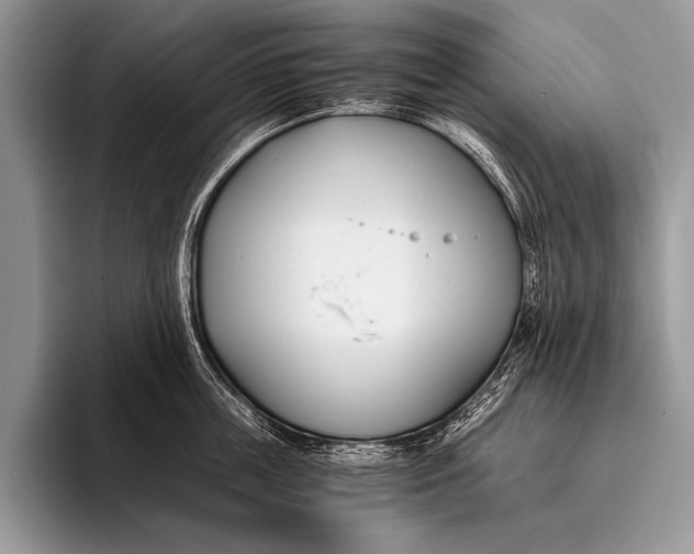 X0000096200859200802081539