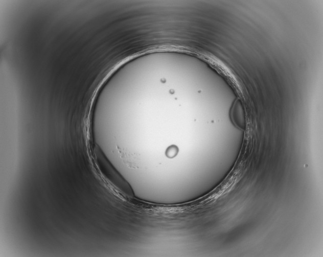 X0000096200860200802081539