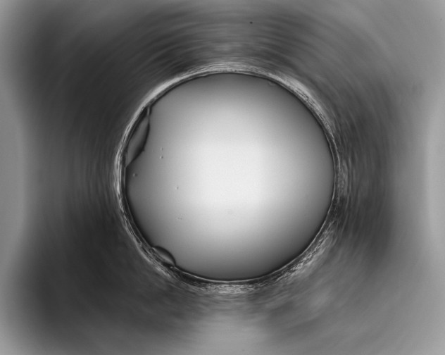 X0000096200862200802081539