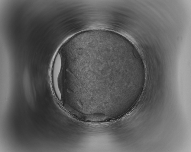 X0000096200864200802081539