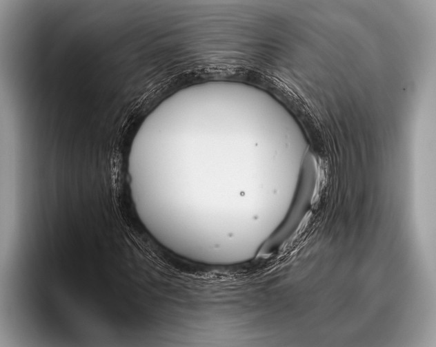 X0000096200867200802081538