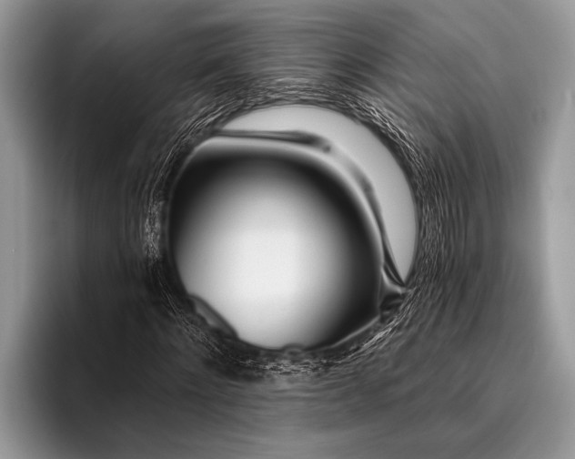 X0000096200868200802081538