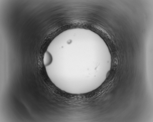 X0000096200869200802081538