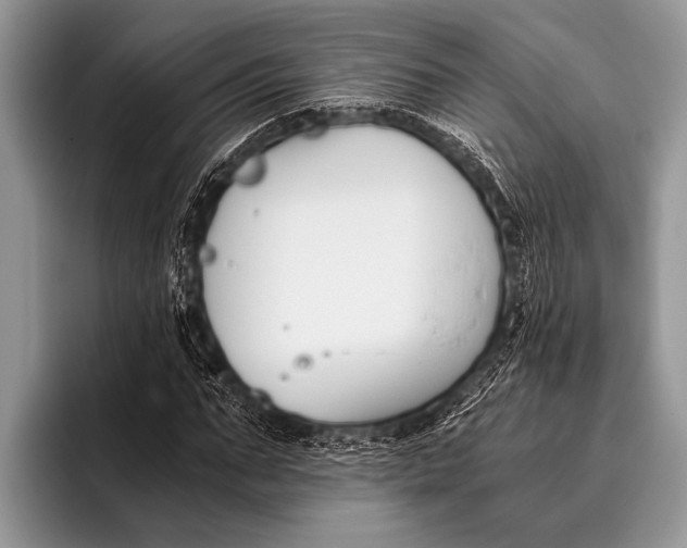 X0000096200871200802081538